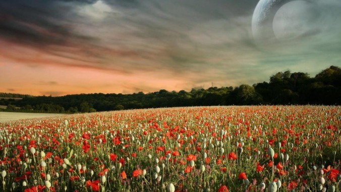 鸿蒙折叠屏笔记本为什么敢卖26999？